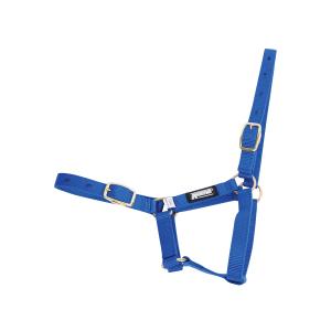 463450-halter-for-fol-roma-foal-bla-fol