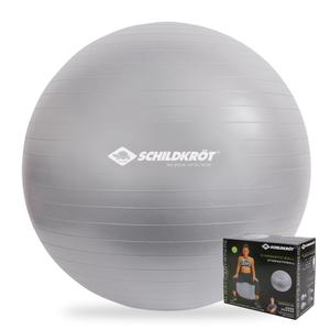 960155-gymnastikboll-schildkrot-silver