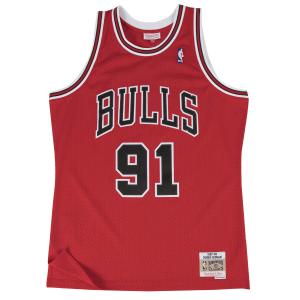 smjygs18154-cbuscar97drd-nba-troja-chicago-bulls-dennis-rodman-rod-scharlakansrod