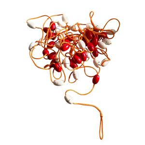 22243-sakerhetsrep-for-poolavdelare-spinera-professional-rod-vit-25-m