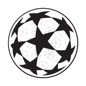 marking-002918-champions-league-2024-marke-vit-svart