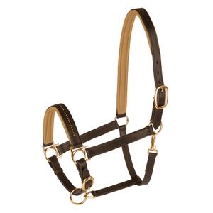 50436130-vb-halster-for-hast-star-diamond-brun