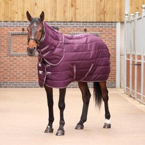 10468-burg-stalltacke-med-hals-for-hast-tempest-original-300g-burg