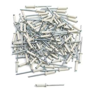 5079-forpackning-med-100-nitar-for-nummerplat-top-plaq-vit-silver-4x16-mm
