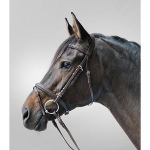 68047030-vb-kombinerad-nosgrimma-ridtackel-star-lifestyle-brun