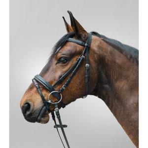 81357001-vb-kombinerad-nosgrimma-ridtackel-star-diamond-svart