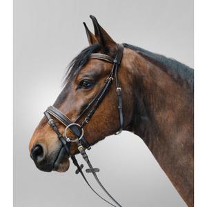 81357030-vb-kombinerad-nosgrimma-ridtackel-star-diamond-brun-guld