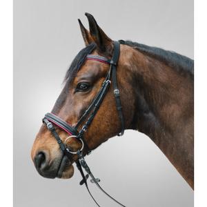 81357054-vb-kombinerad-nosgrimma-ridtackel-star-diamond-fuchsia