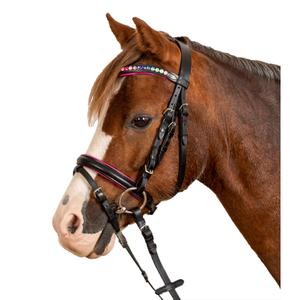 8142501-msh-kombinerad-nosgrimma-ridtackel-star-pinky-svart