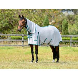 1024532020-hastflugmatta-weatherbeeta-comfitec-zephyr-silver-teal-green-stone