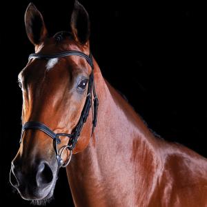 816078-818443-trans-for-traning-av-hastar-weatherbeeta-collegiate-comfitec-svart