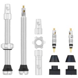 w-tlv-kit60-rsil-tubeless-ventilkit-wolf-tooth-silver
